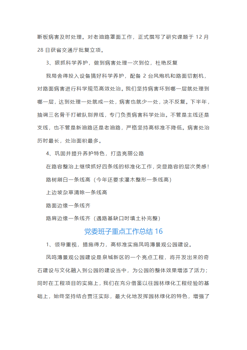 党委班子重点工作总结第19页