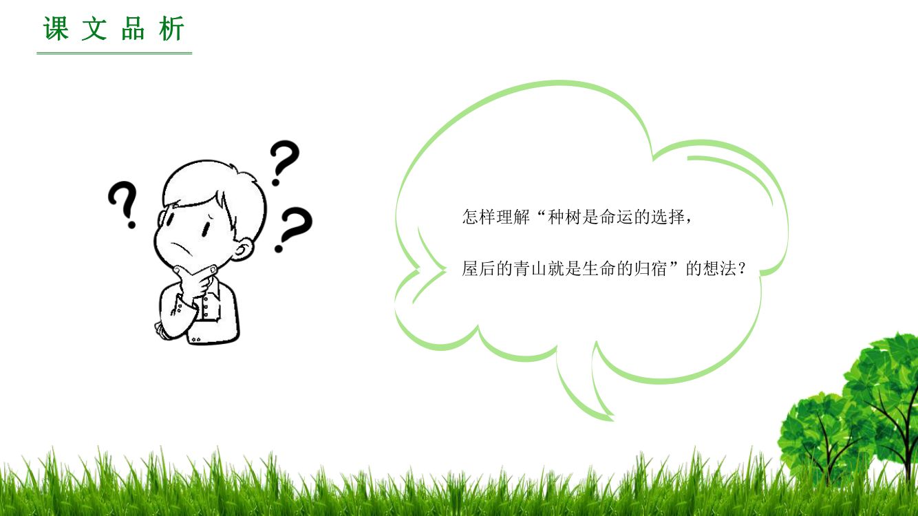 《青山不老》教学课件第15页