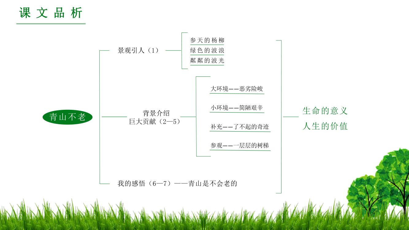 《青山不老》教学课件第17页