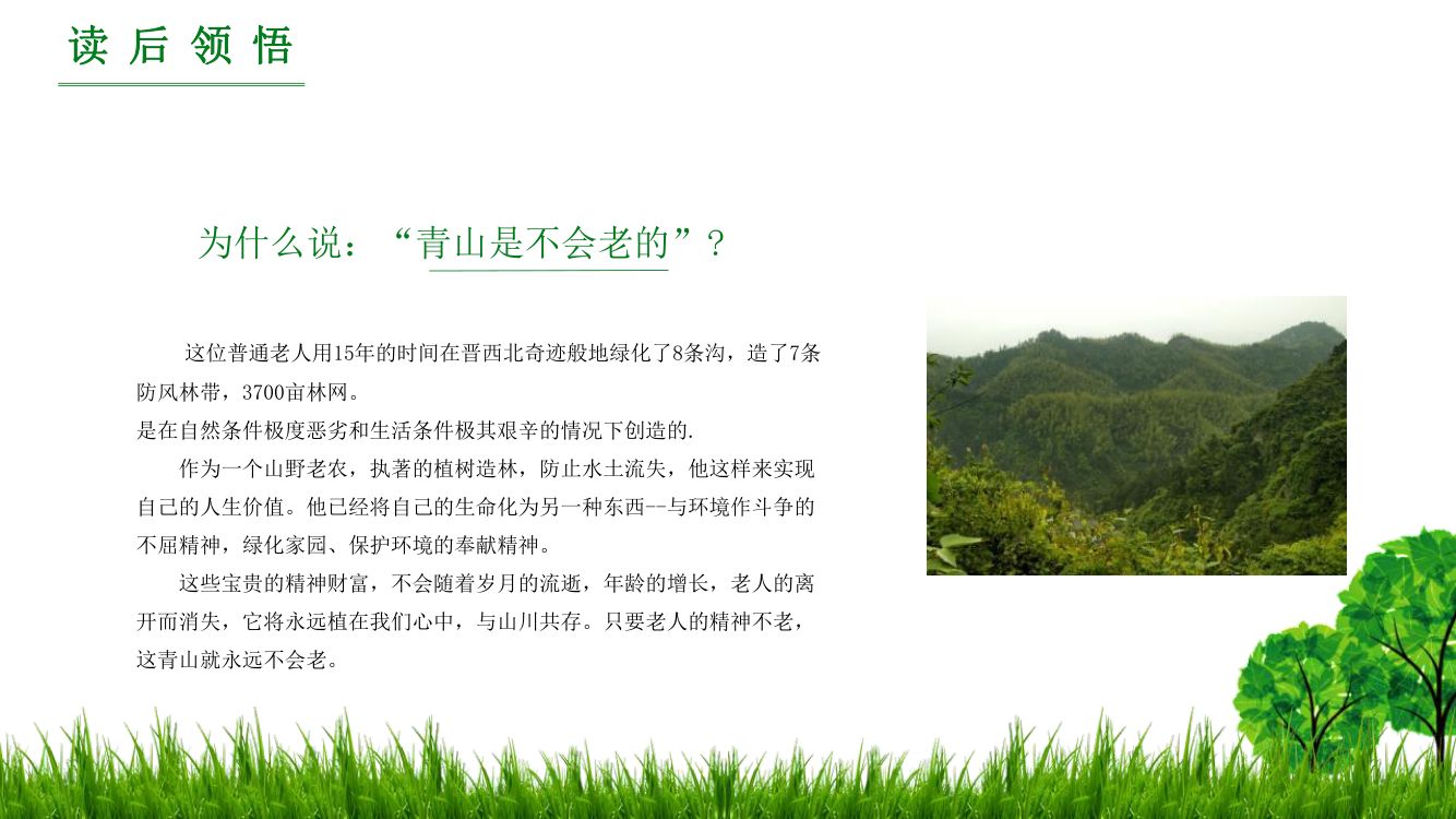 《青山不老》教学课件第19页