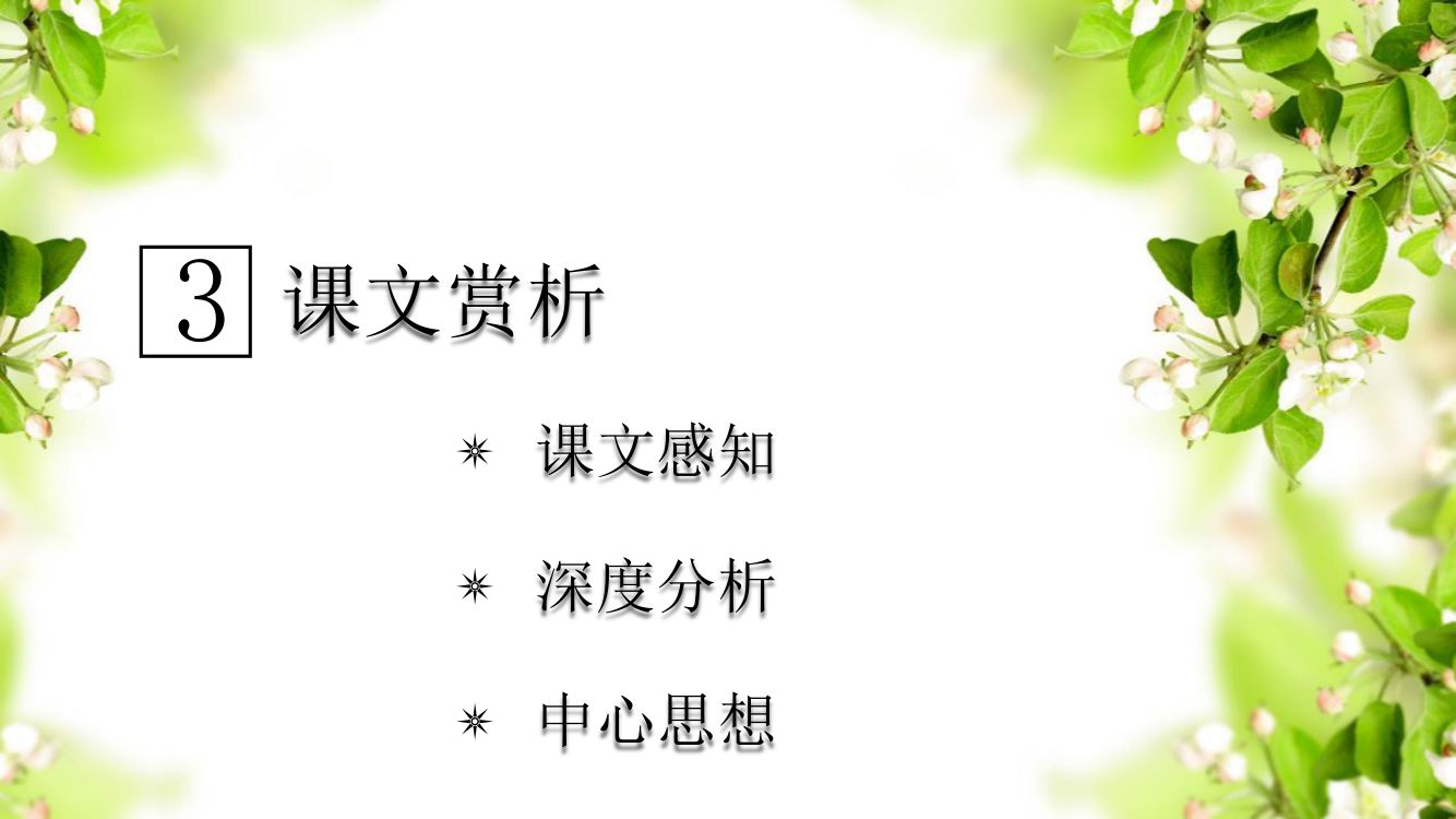《穷人》教学课件第11页