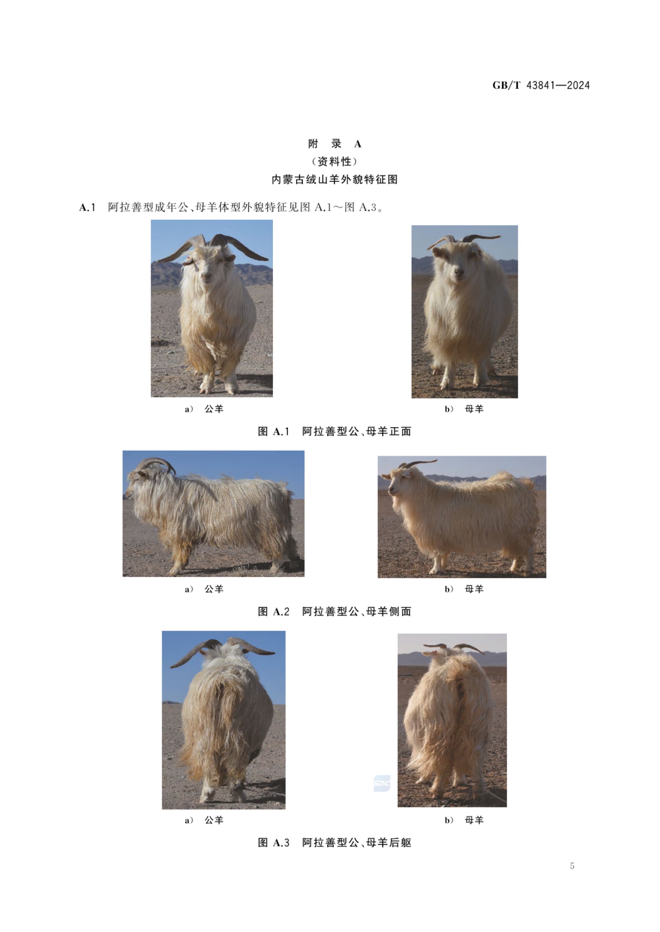 内蒙古绒山羊GBT43841-2024第7页