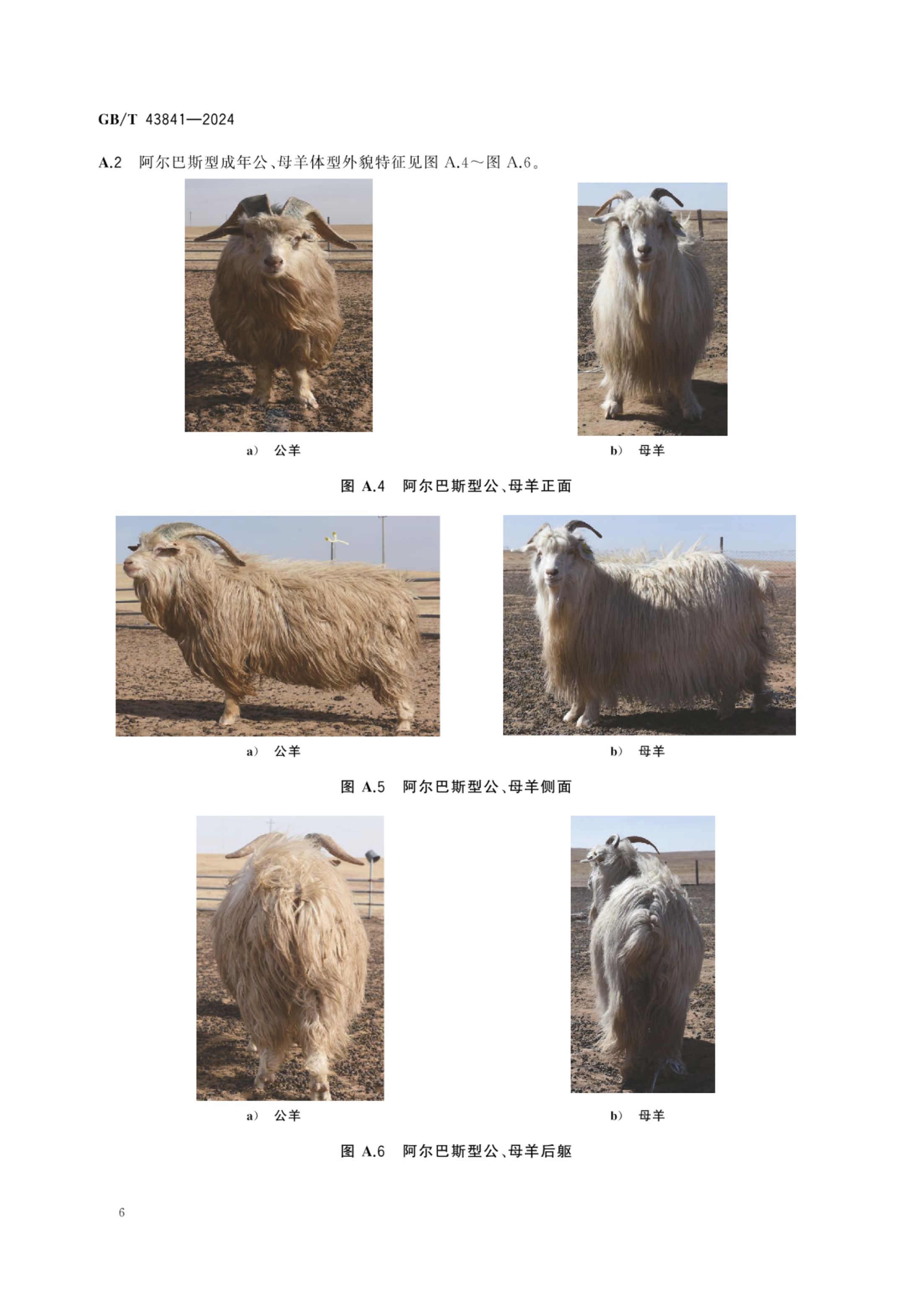 内蒙古绒山羊GBT43841-2024第8页