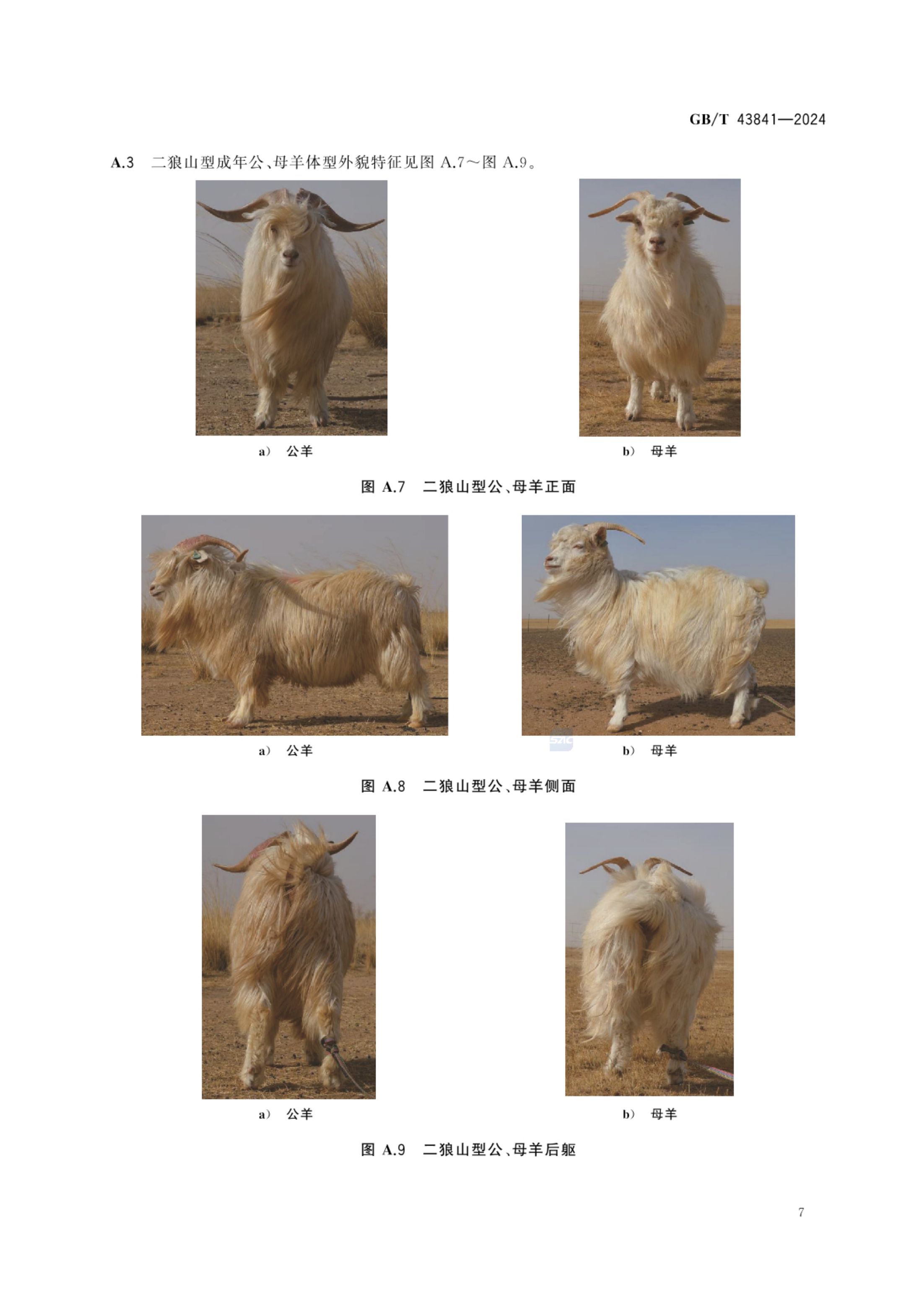 内蒙古绒山羊GBT43841-2024第9页