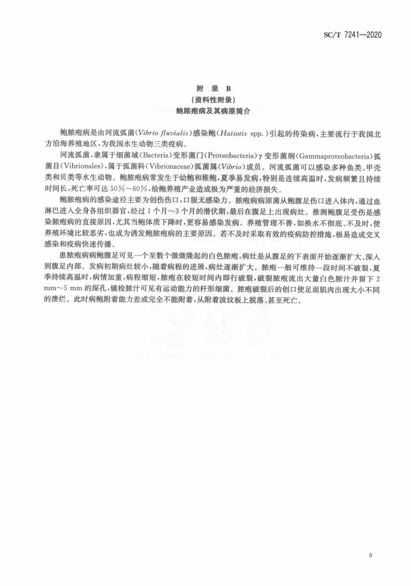 鲍脓疱病诊断规程SCT7241-2020第13页