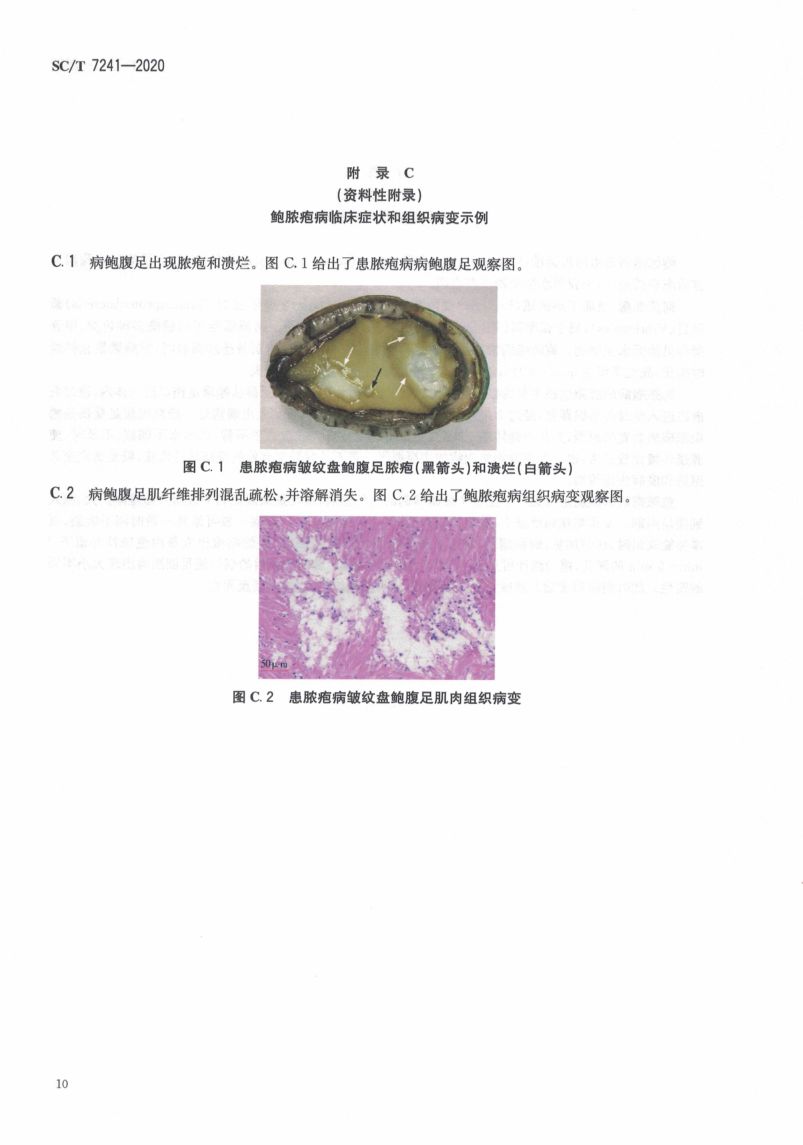 鲍脓疱病诊断规程SCT7241-2020第14页