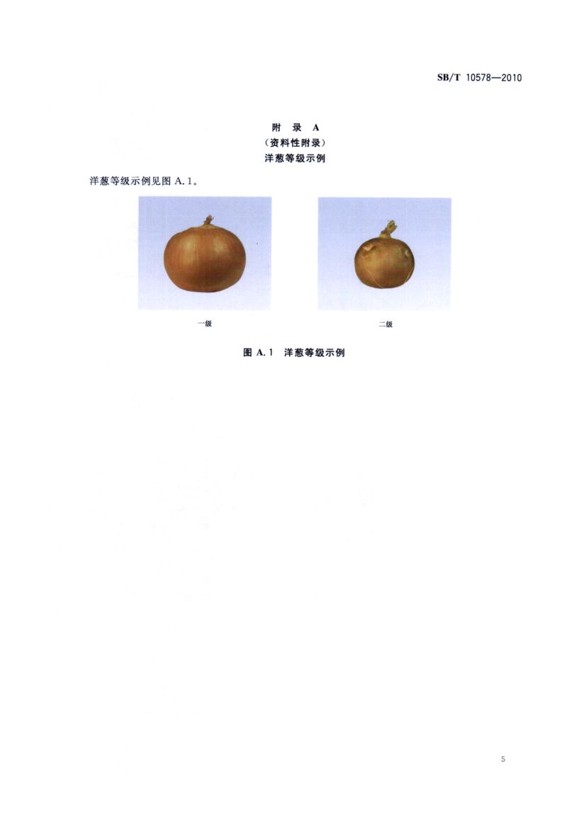 洋葱流通规范SBT10578-2010第7页