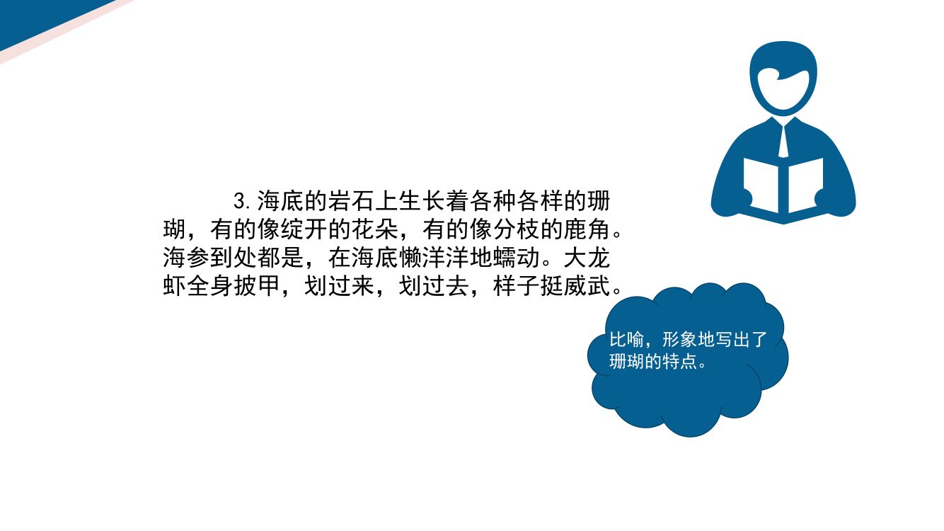 《富饶的西沙群岛》教学课件第13页