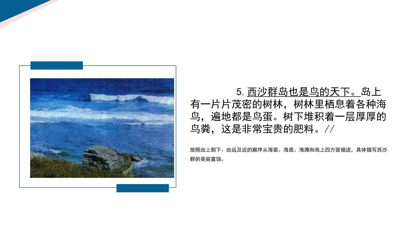 《富饶的西沙群岛》教学课件第15页