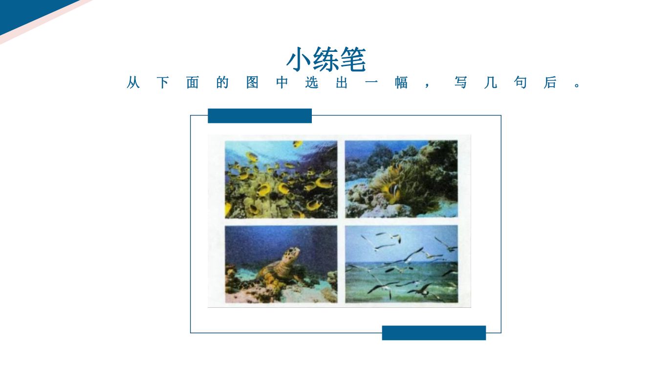 《富饶的西沙群岛》教学课件第22页