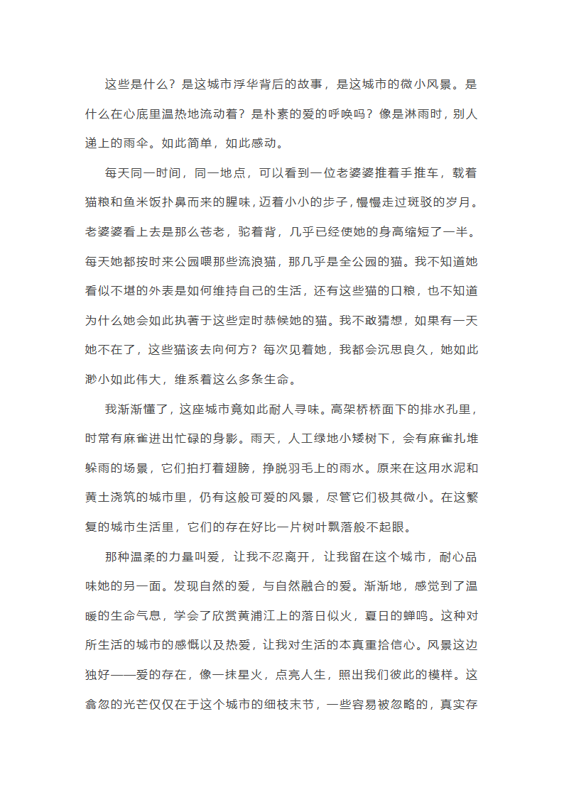 城市美景的作文第2页