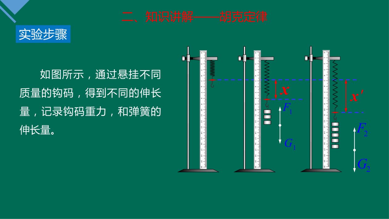 《重力与弹力》教学课件第22页