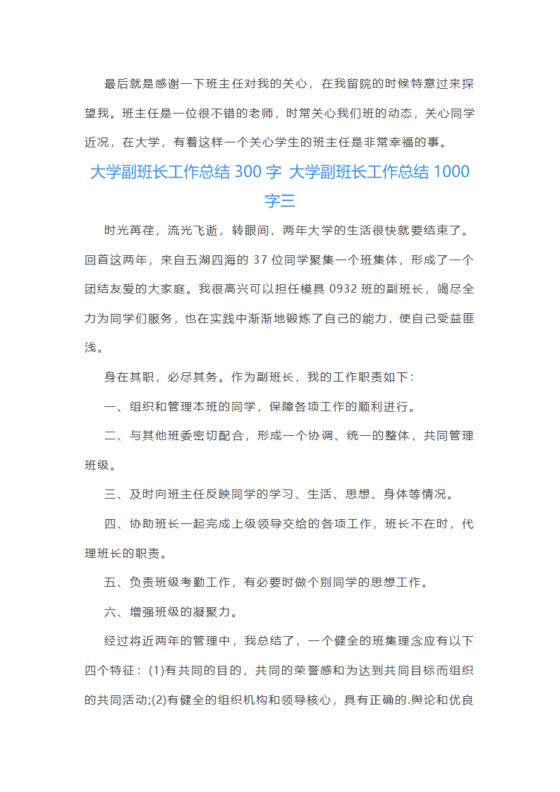 大学副班长工作总结1000字第5页