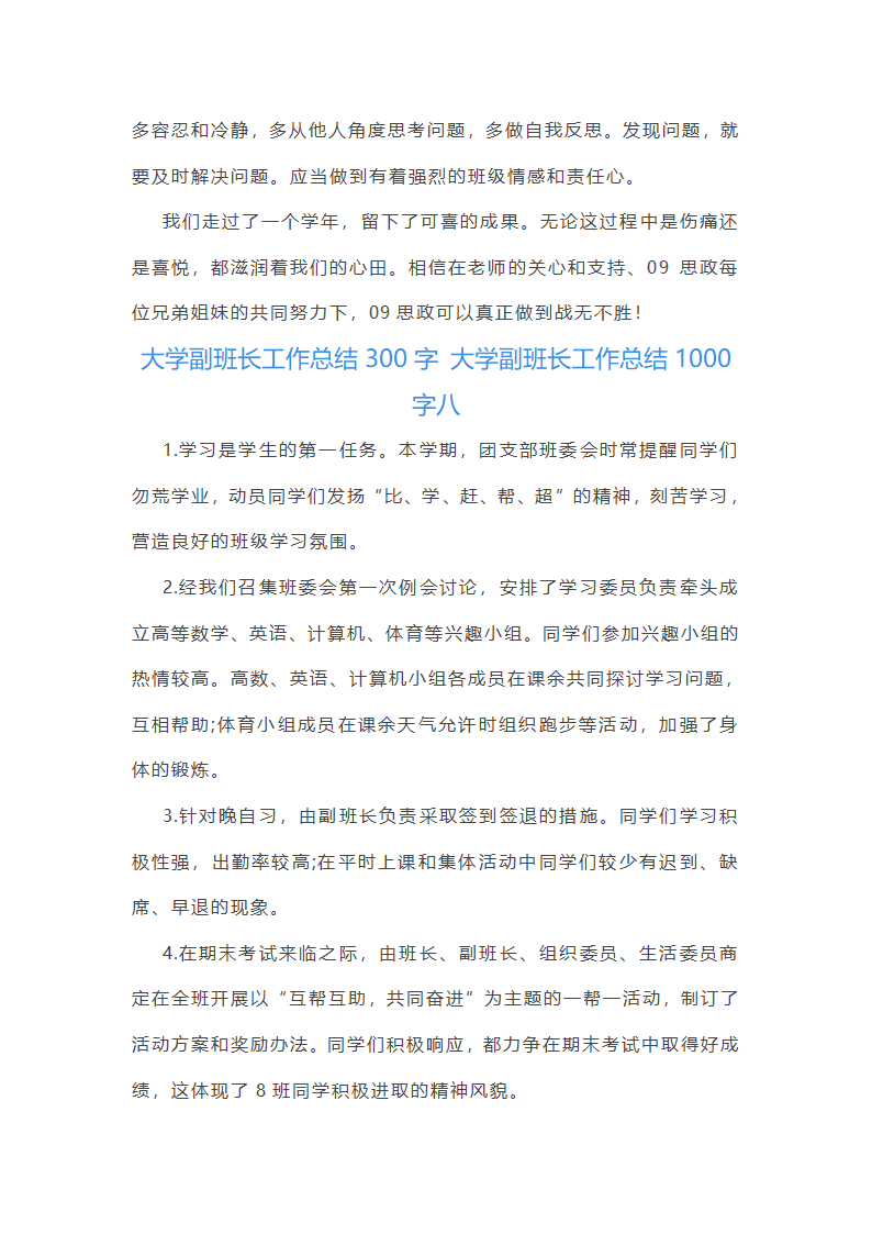 大学副班长工作总结1000字第16页