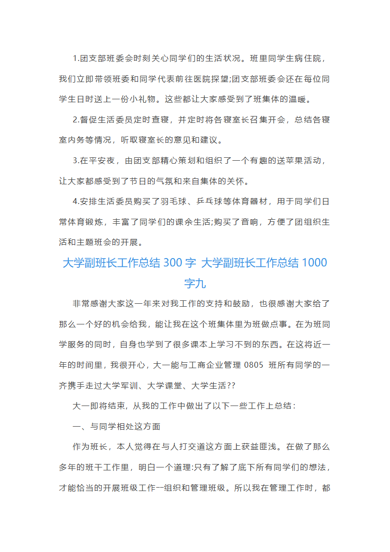 大学副班长工作总结1000字第19页
