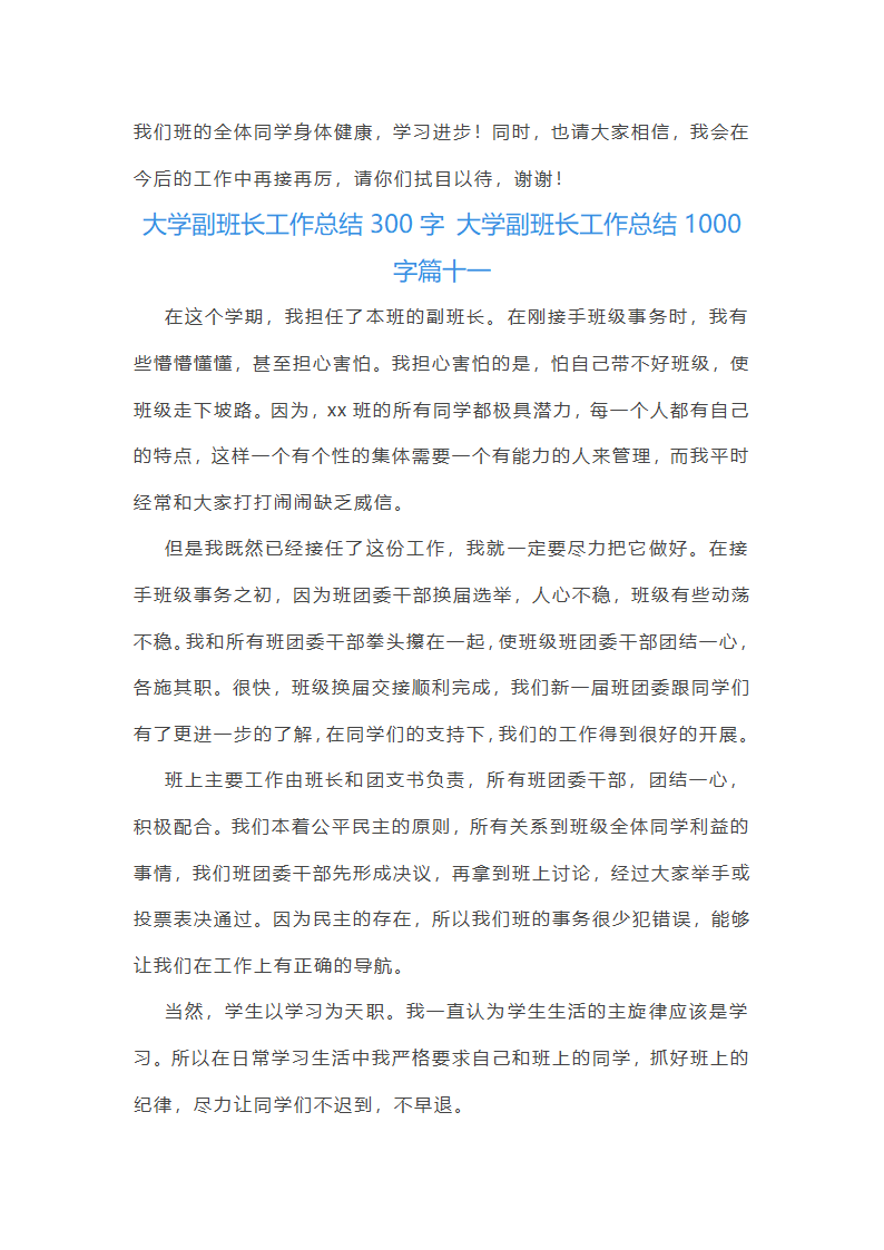 大学副班长工作总结1000字第24页