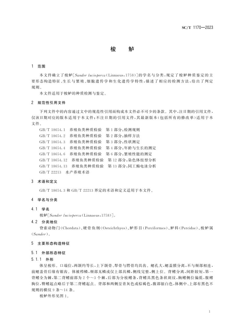 梭鲈SCT1170-2023第3页