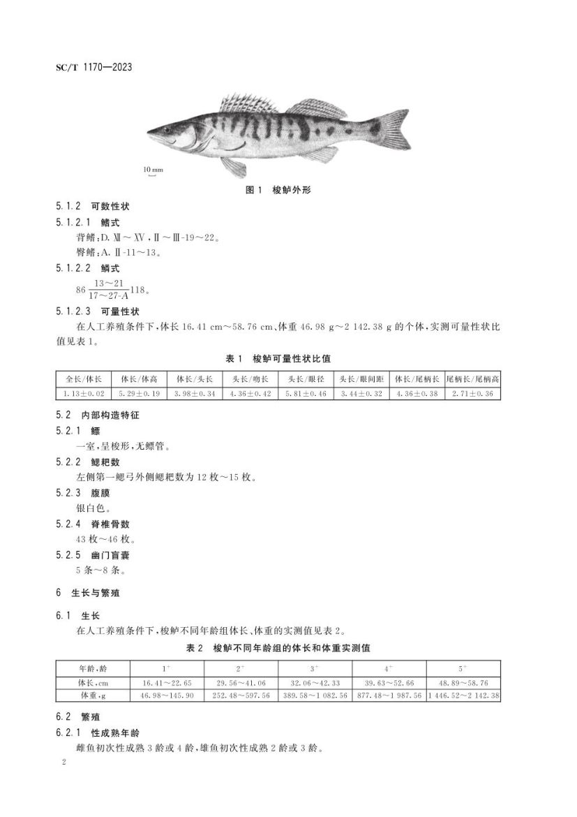 梭鲈SCT1170-2023第4页