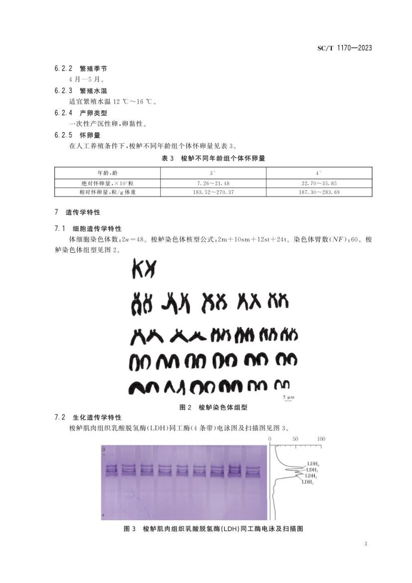 梭鲈SCT1170-2023第5页