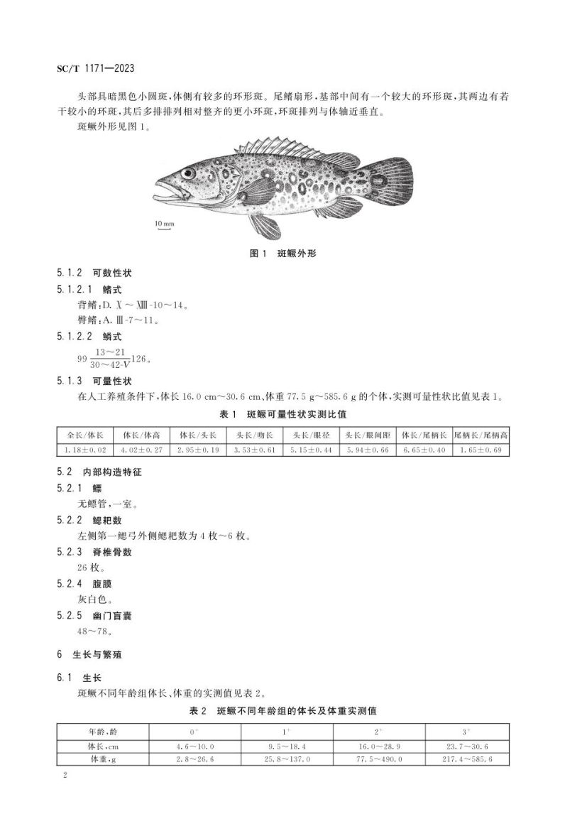 斑鳜SCT1171-2023第4页
