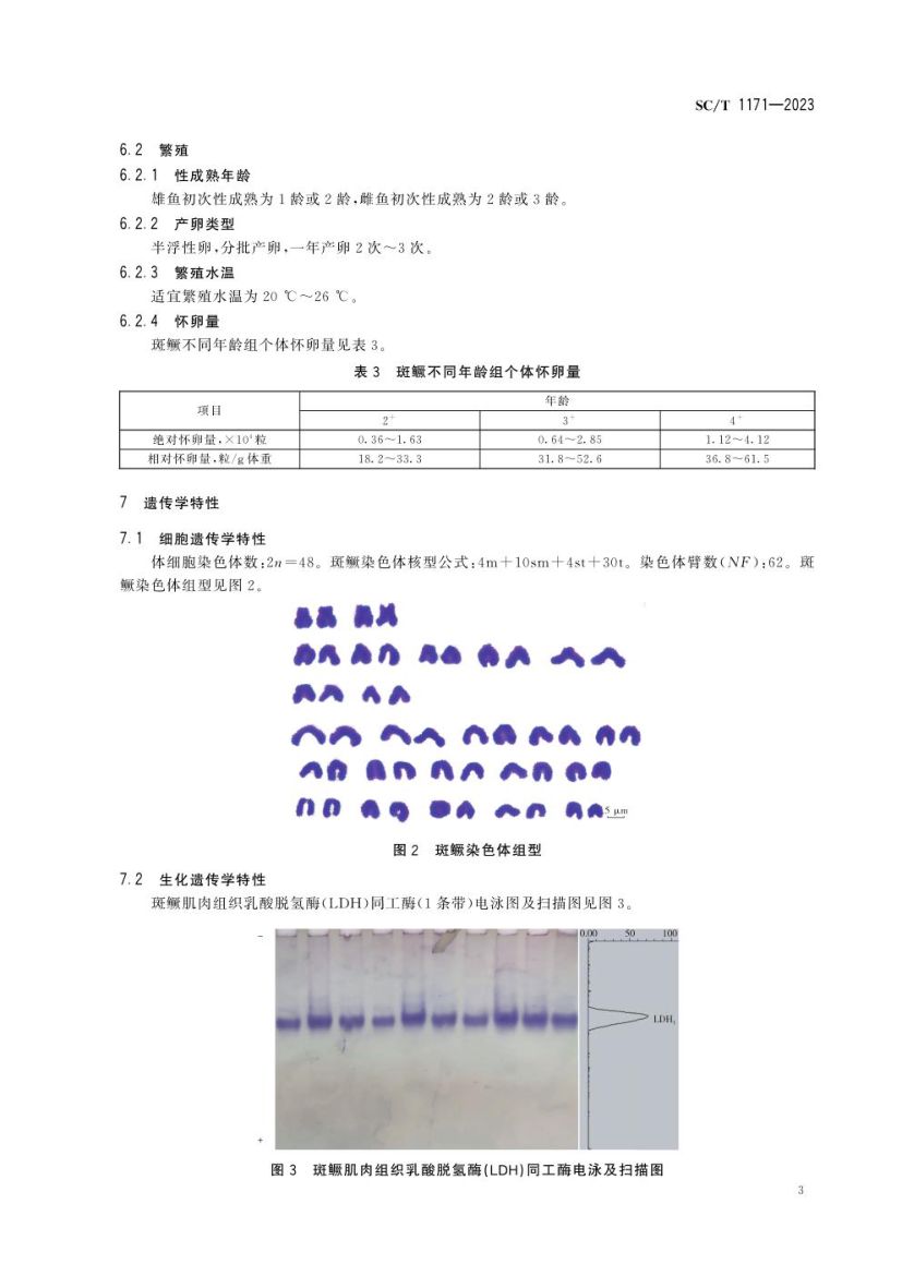 斑鳜SCT1171-2023第5页