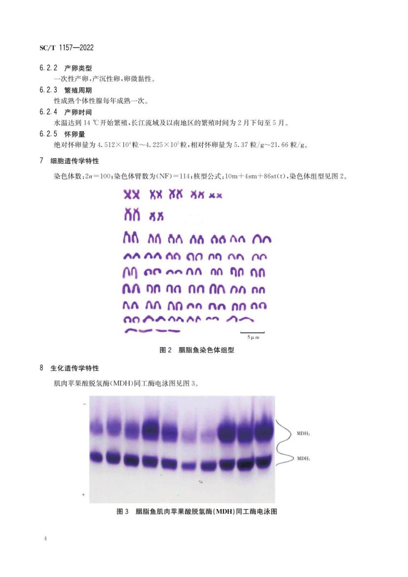 胭脂鱼SCT1157-2022第6页