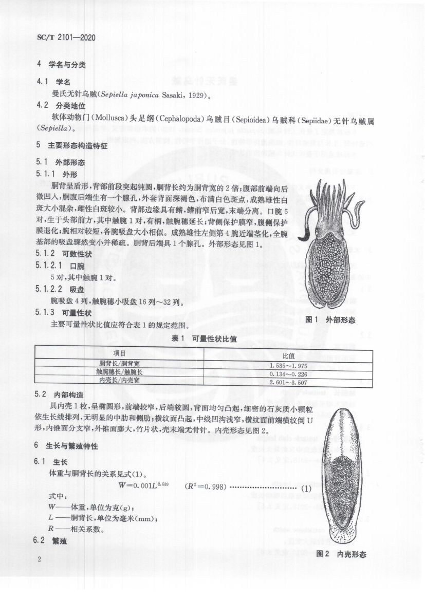 曼氏无针乌贼SCT2101-2020第6页