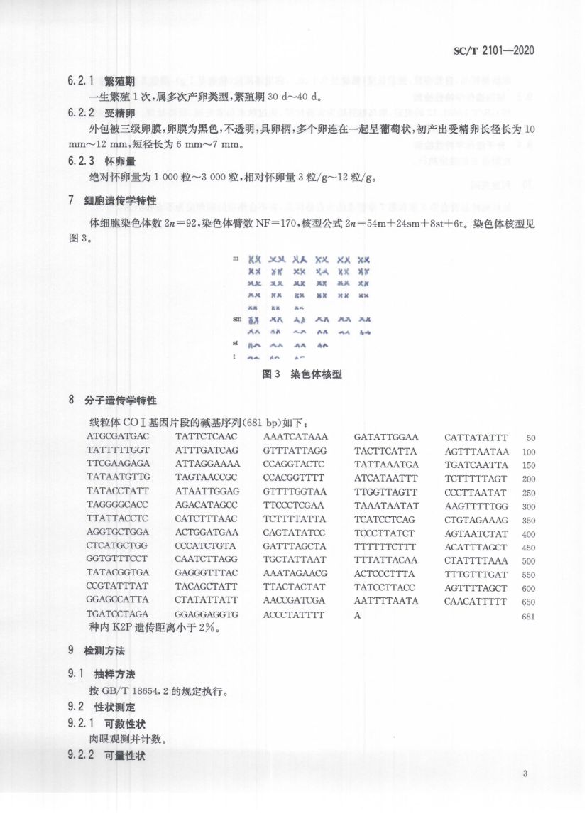曼氏无针乌贼SCT2101-2020第7页