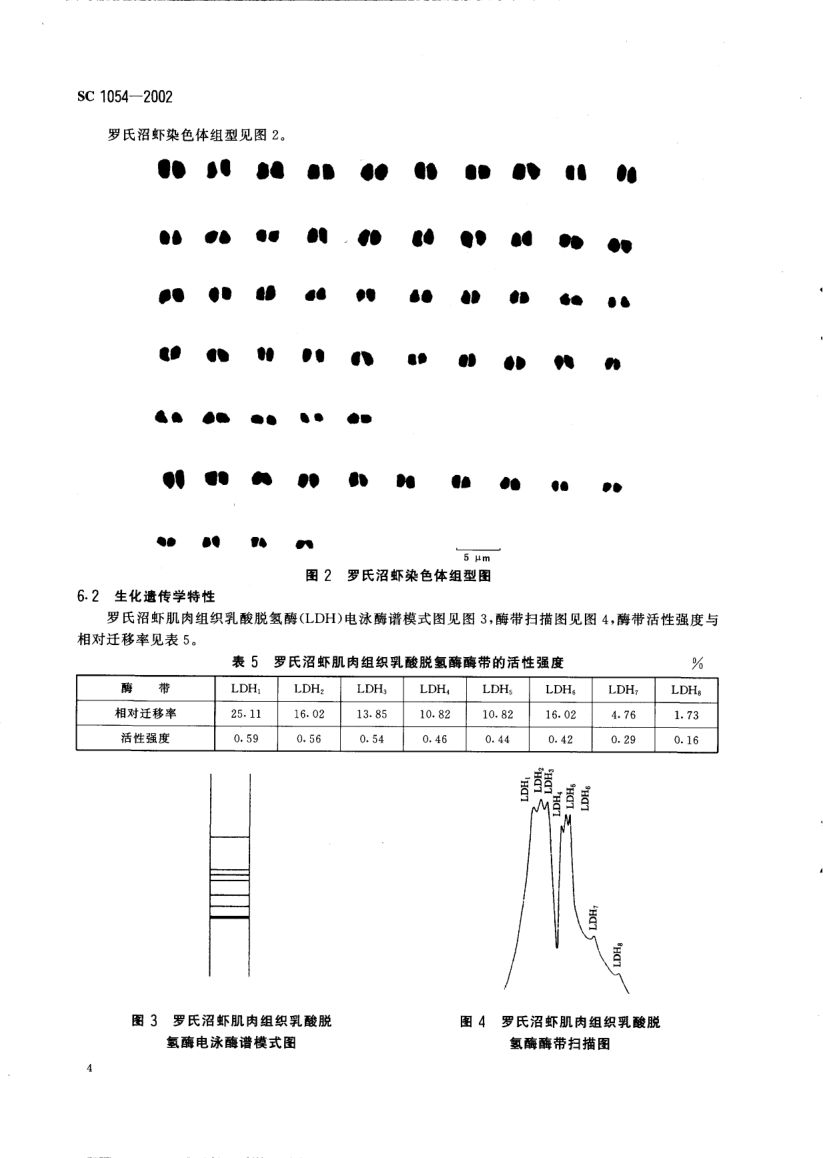 罗氏沼虾SC1054-2002第6页