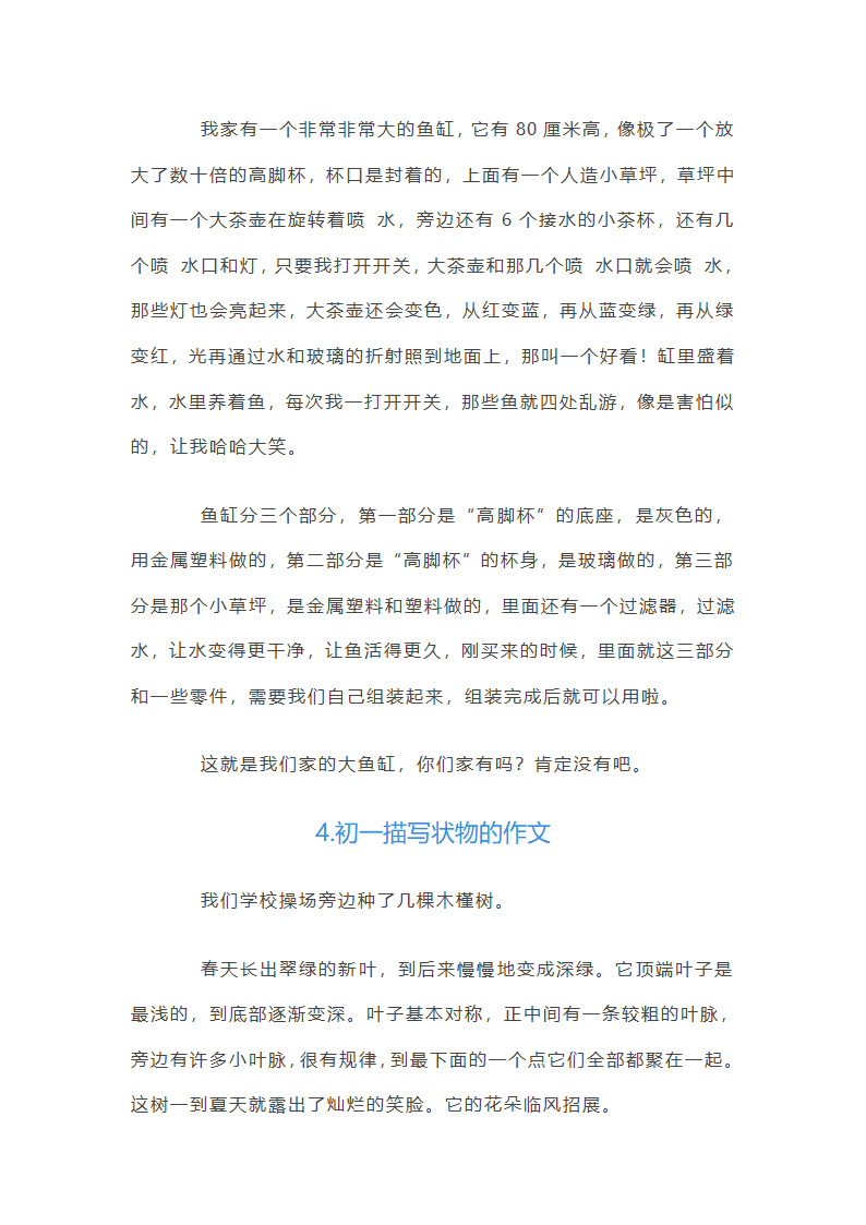 初一描写状物的作文（5篇）第3页