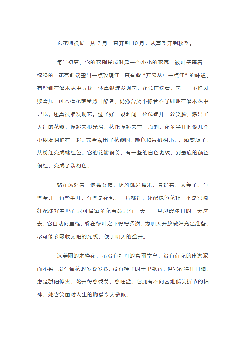 初一描写状物的作文（5篇）第4页