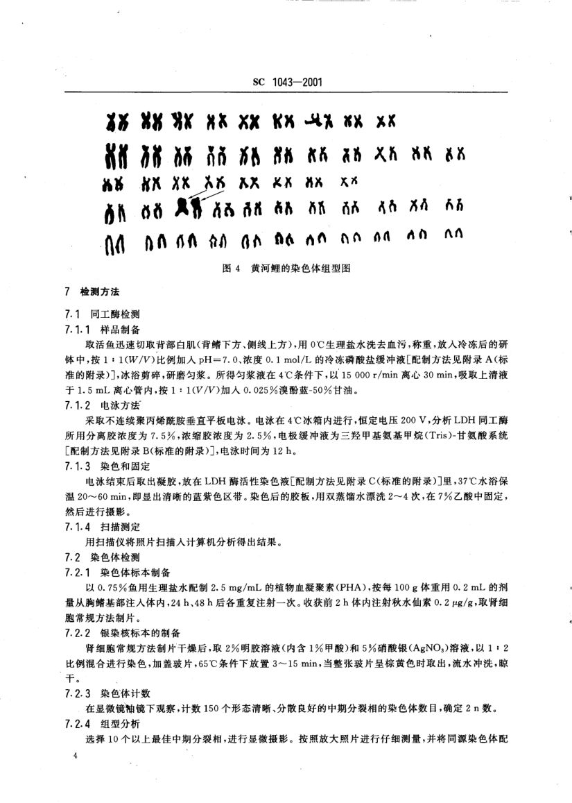 黄河鲤SC1043-2001第6页