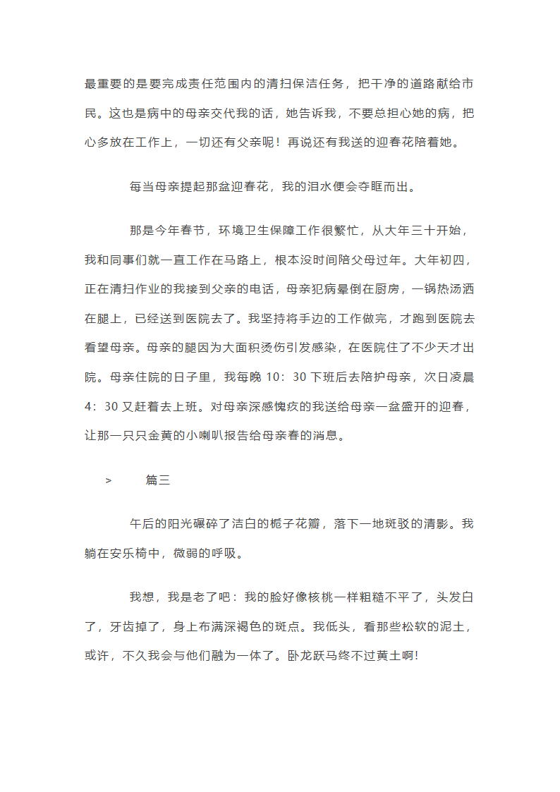 提篮春光看妈妈中考作文800字三篇第4页
