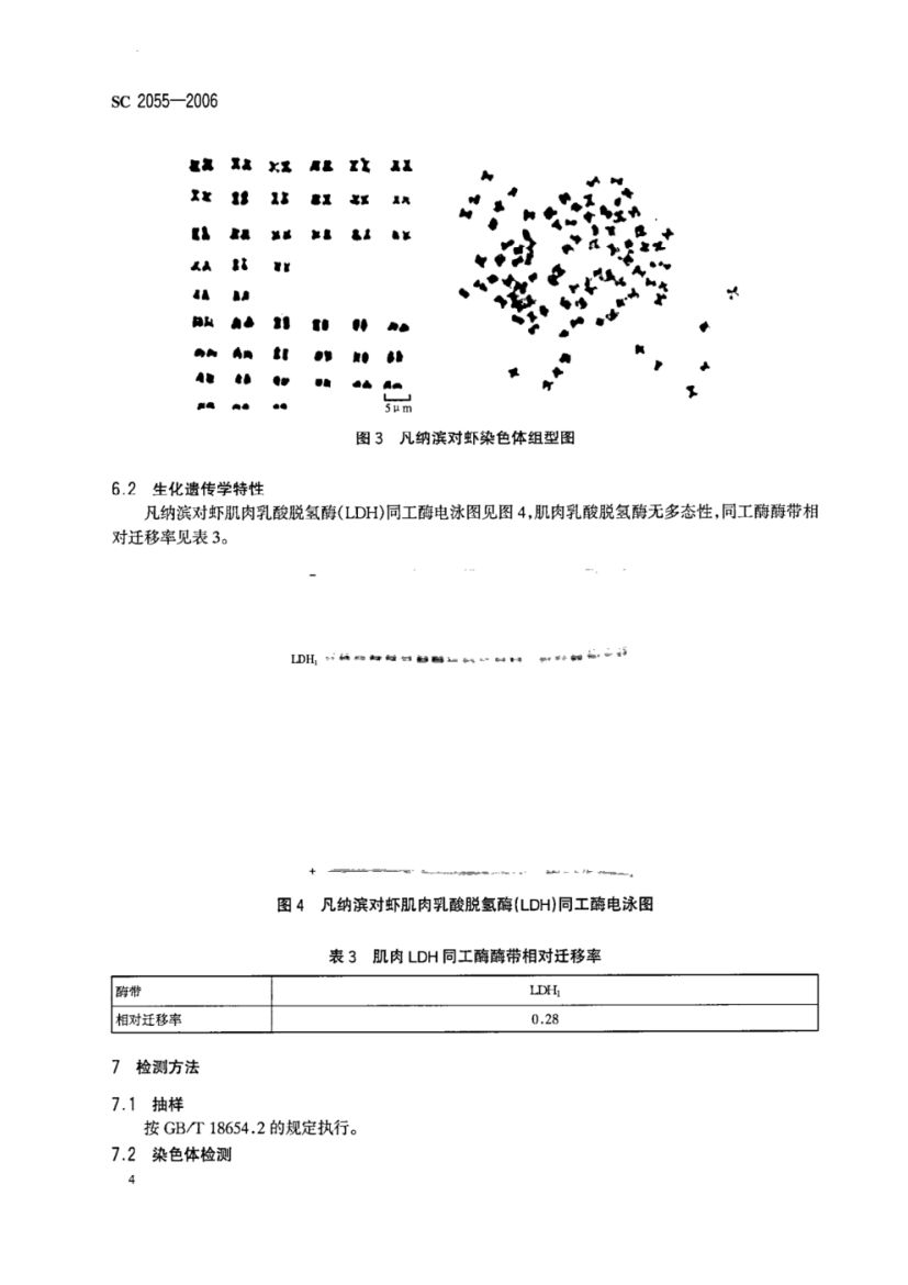 凡纳滨对虾SC2055-2006第6页