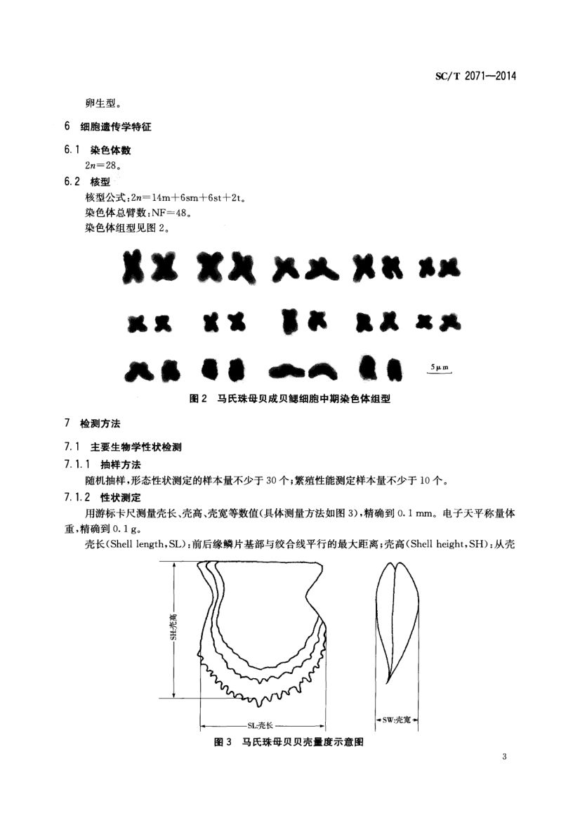 马氏珠母贝SCT2071-2014第5页
