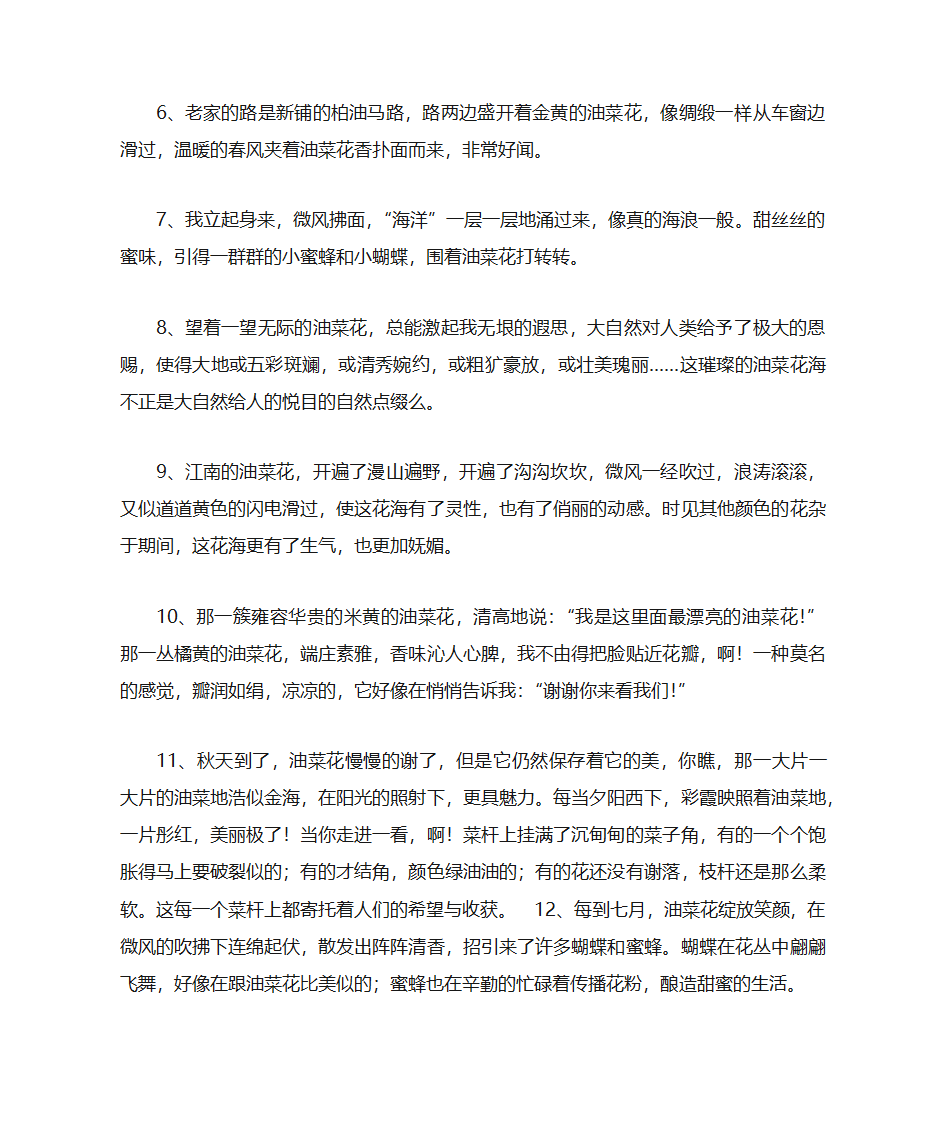 描写油菜花的句子第2页