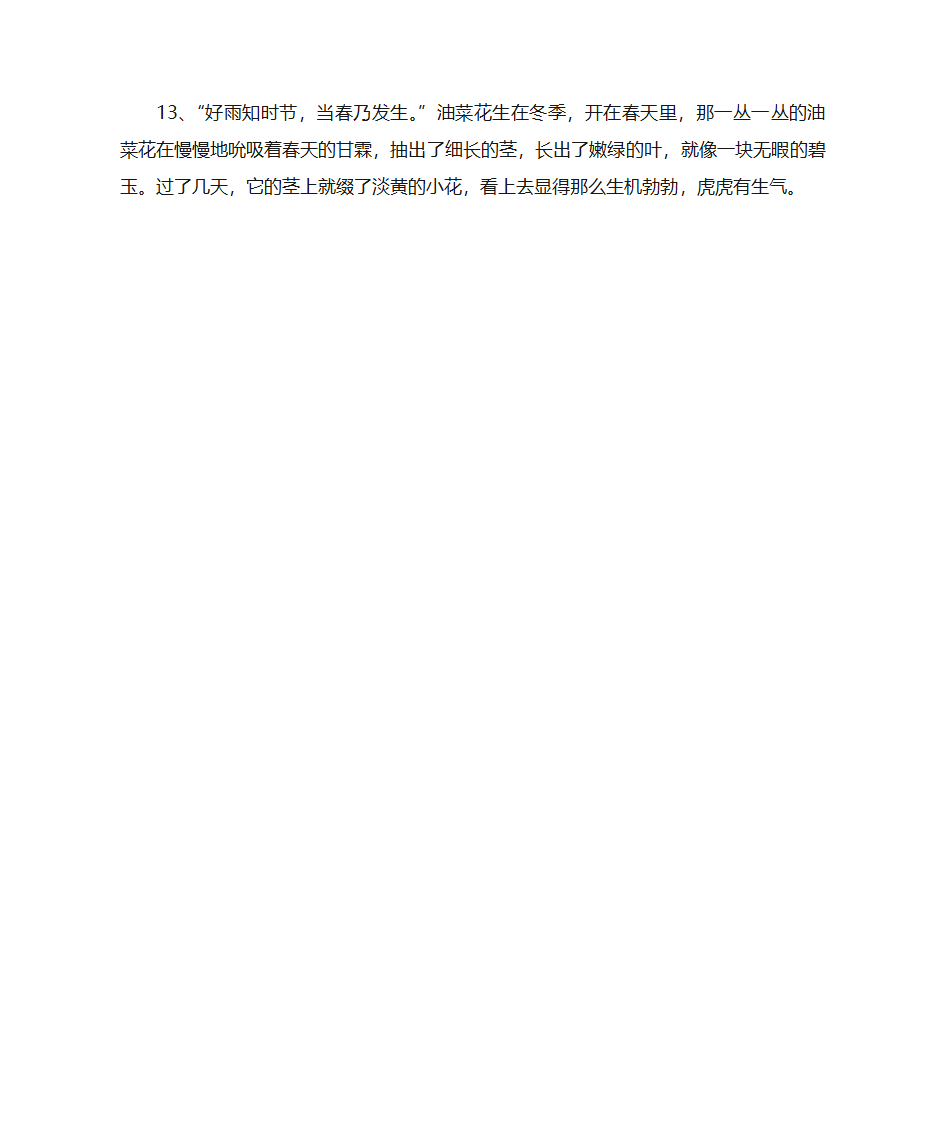 描写油菜花的句子第3页