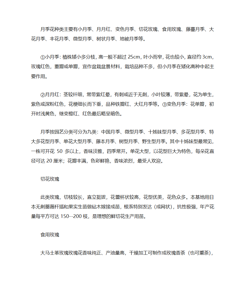 月季花语