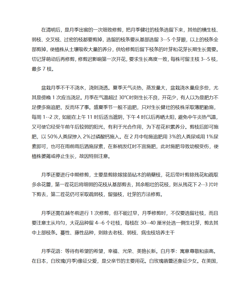 月季花语第5页