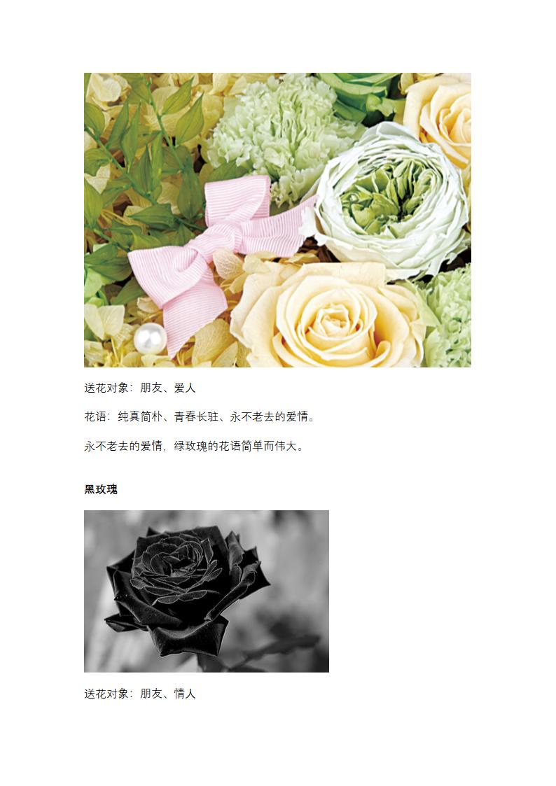 粉红色玫瑰花花语第7页