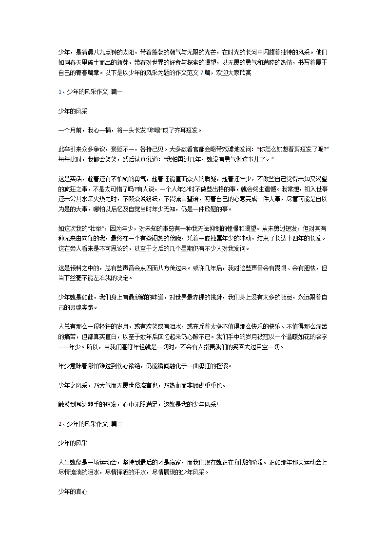 少年的风采作文