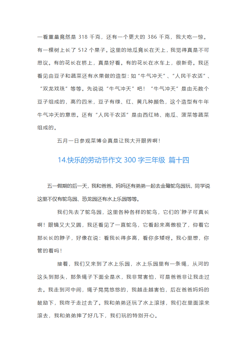 快乐的劳动节作文300字第11页