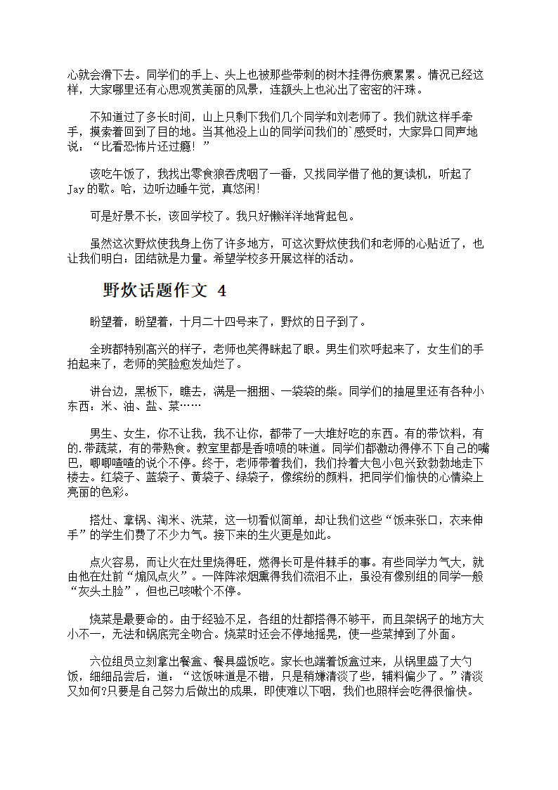 野炊话题作文第3页