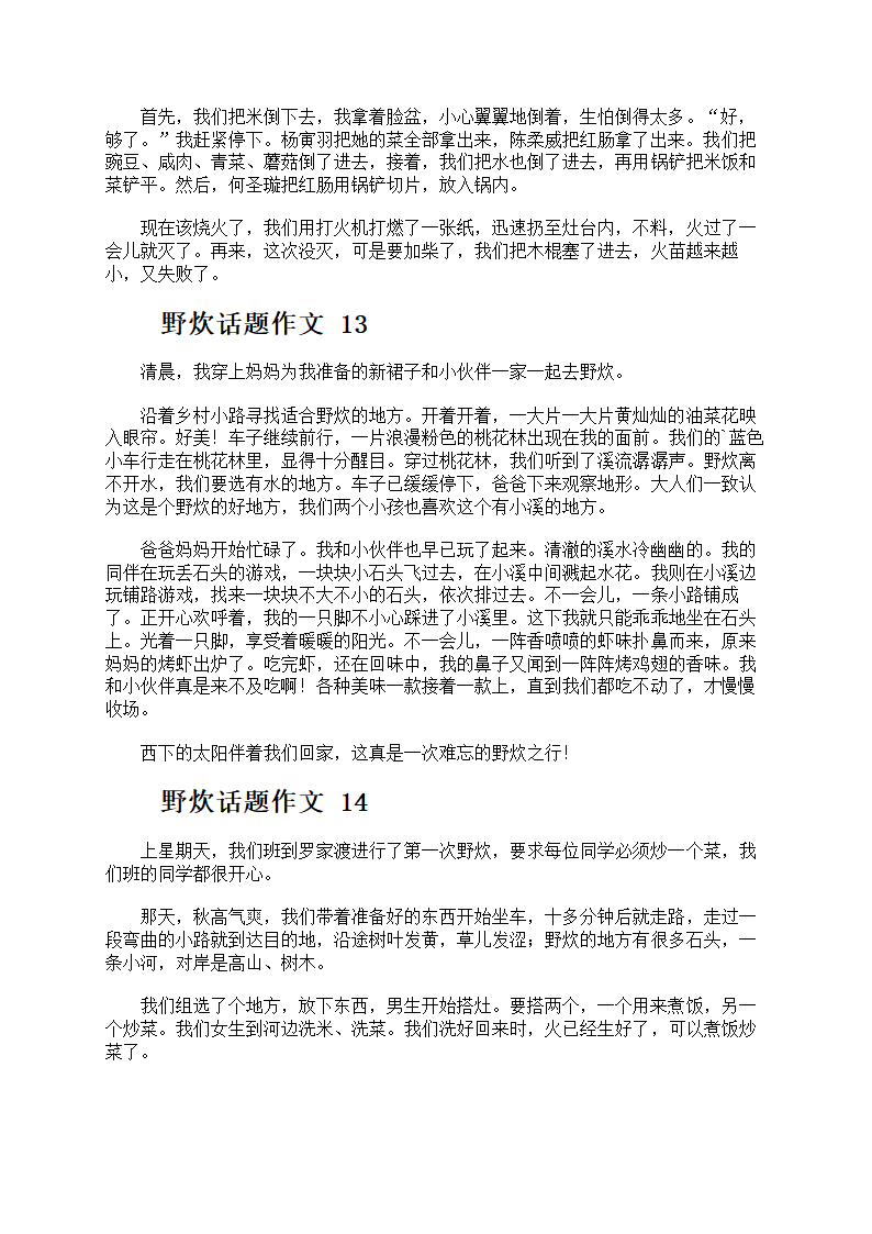 野炊话题作文第8页