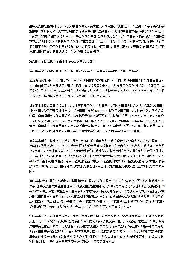 党支部规范化建设五个基本内容第3页