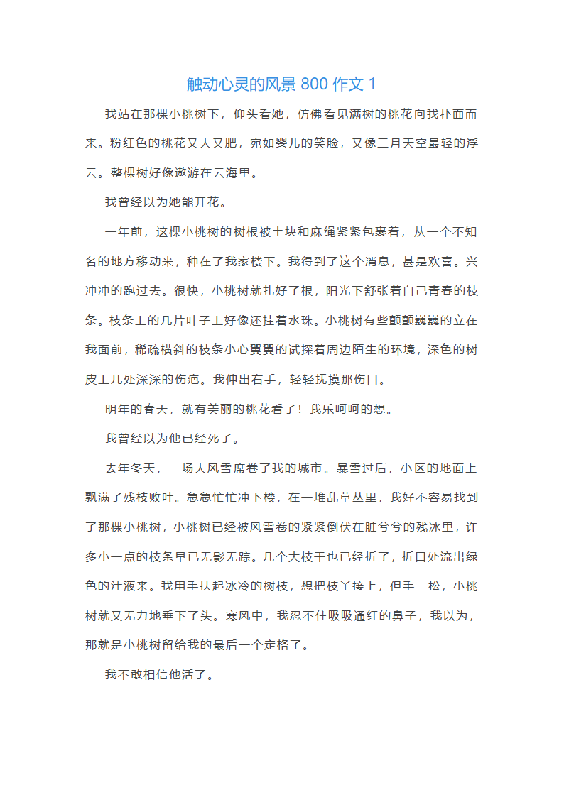 触动心灵的风景800作文第1页