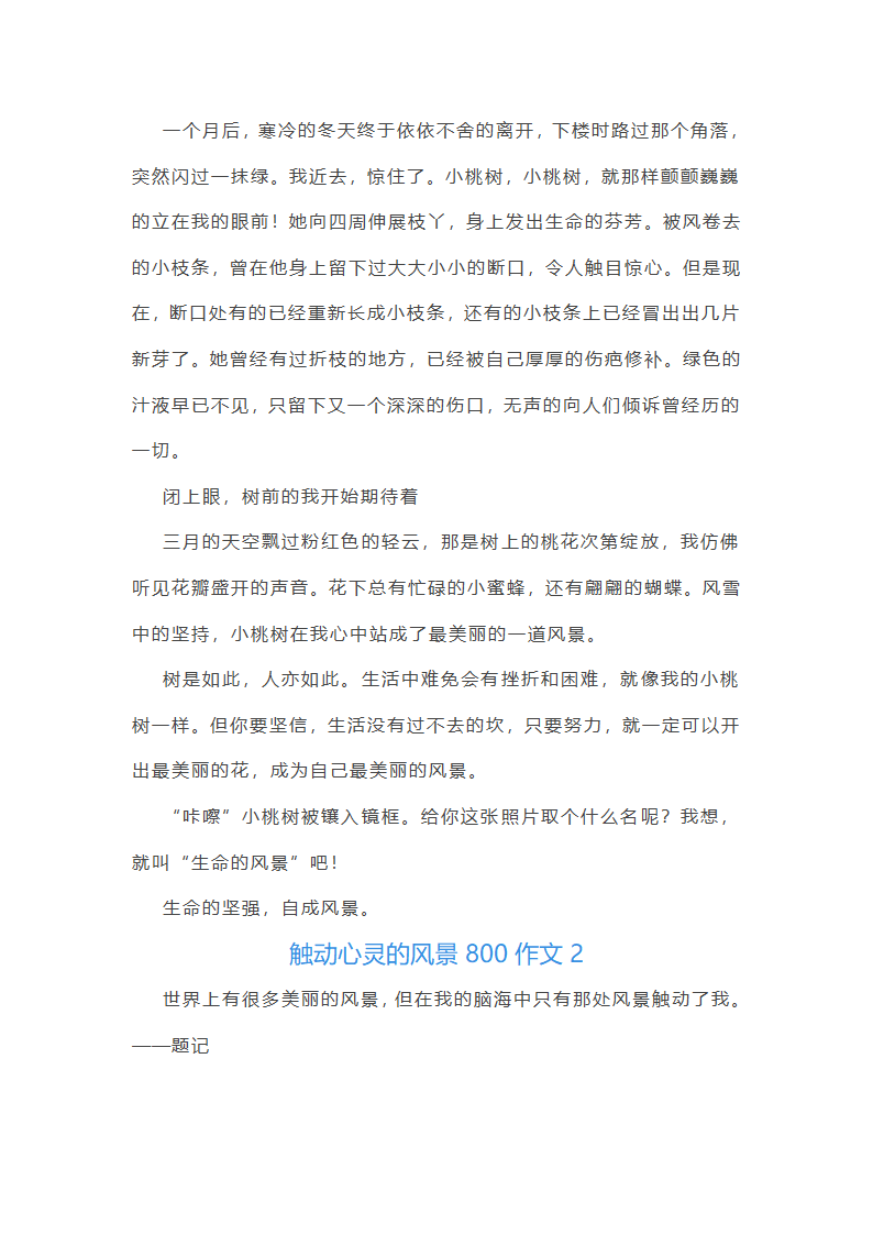 触动心灵的风景800作文第2页