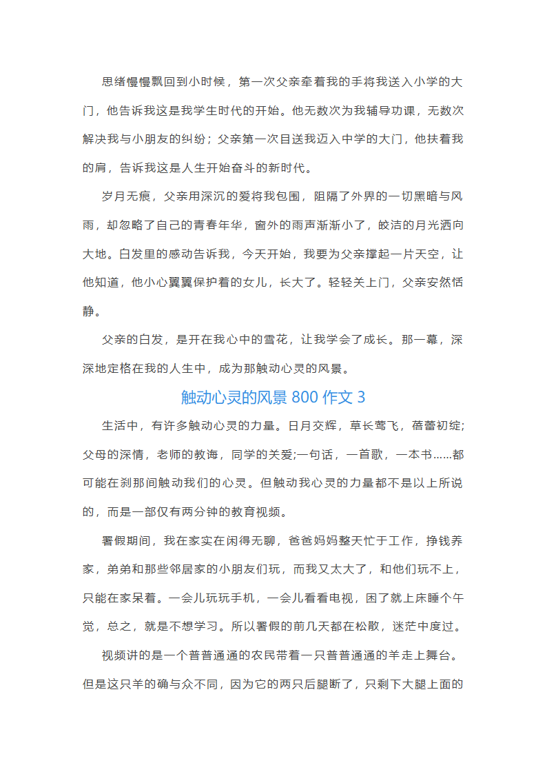 触动心灵的风景800作文第4页