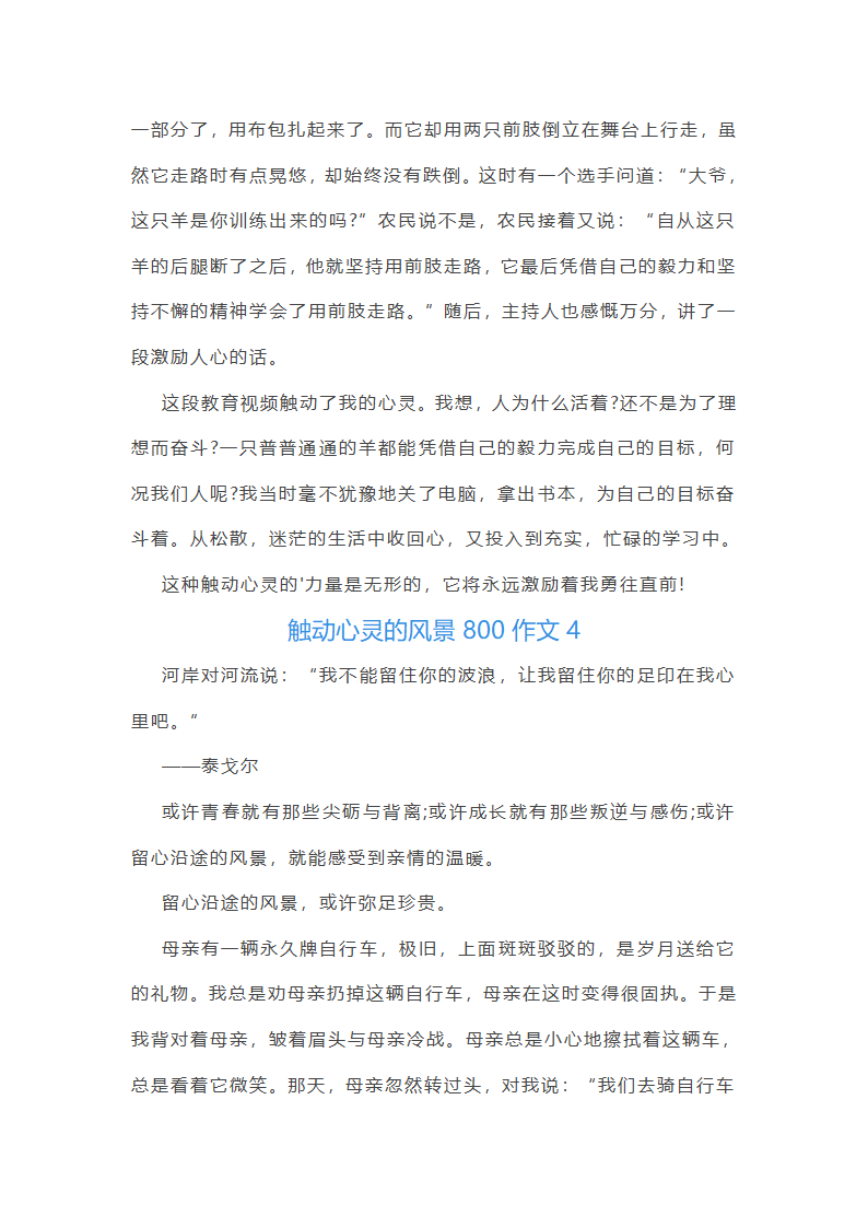 触动心灵的风景800作文第5页