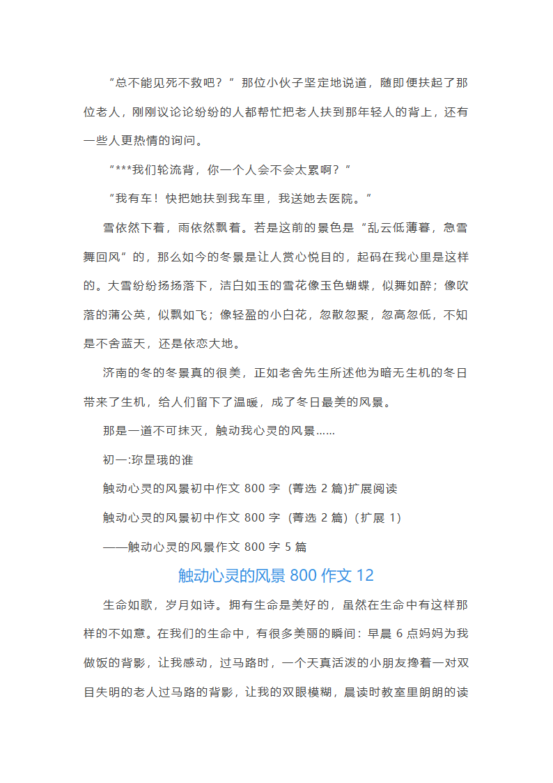 触动心灵的风景800作文第17页